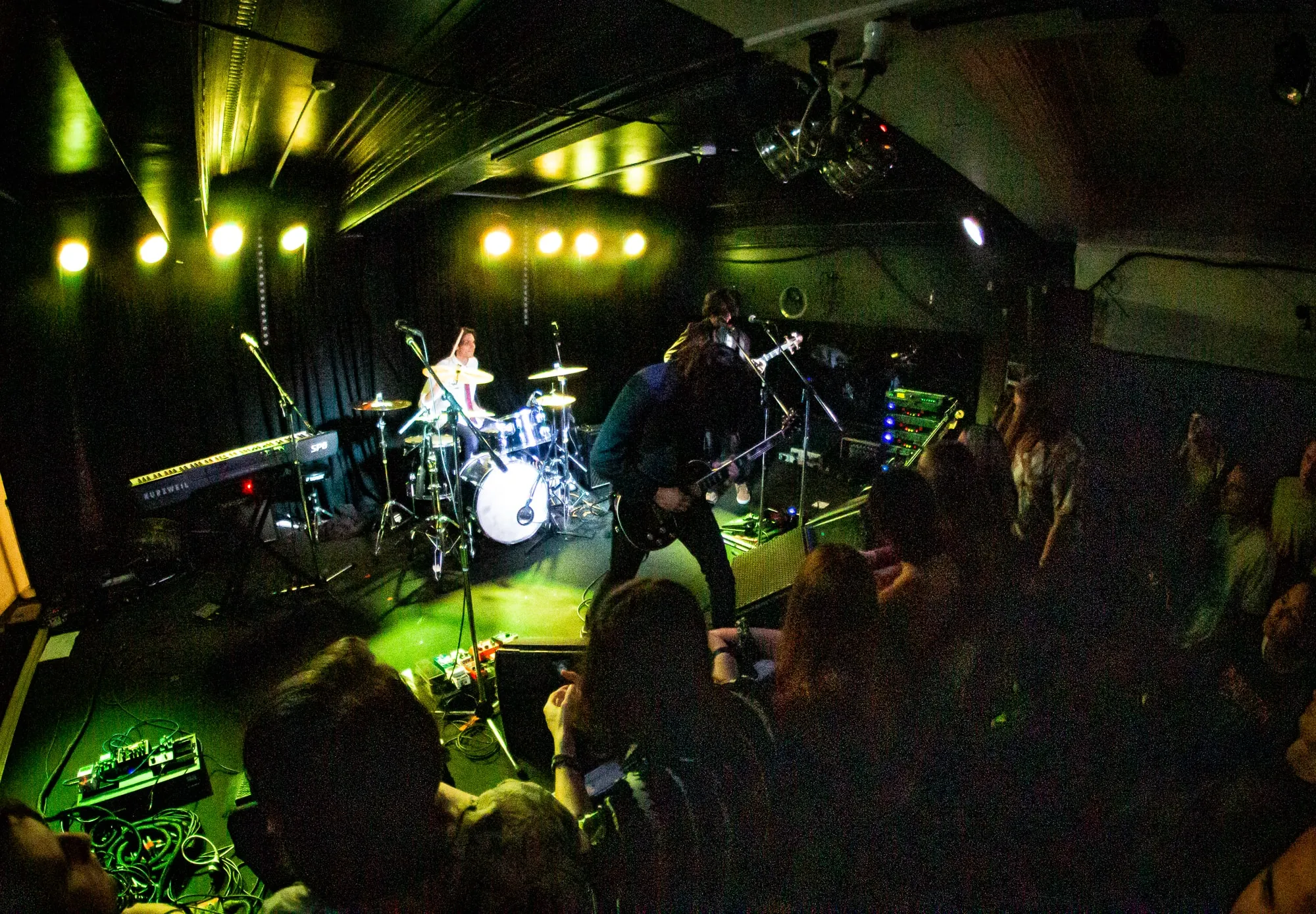 Snowfish | Photos